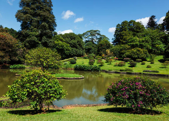 istockphoto-1336277678-612x612